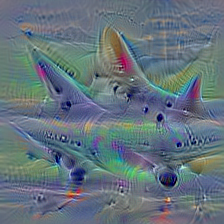 n02690373